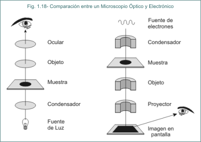 Fig.1.18 Comparacin entre Microscopio ptico y Electrnico